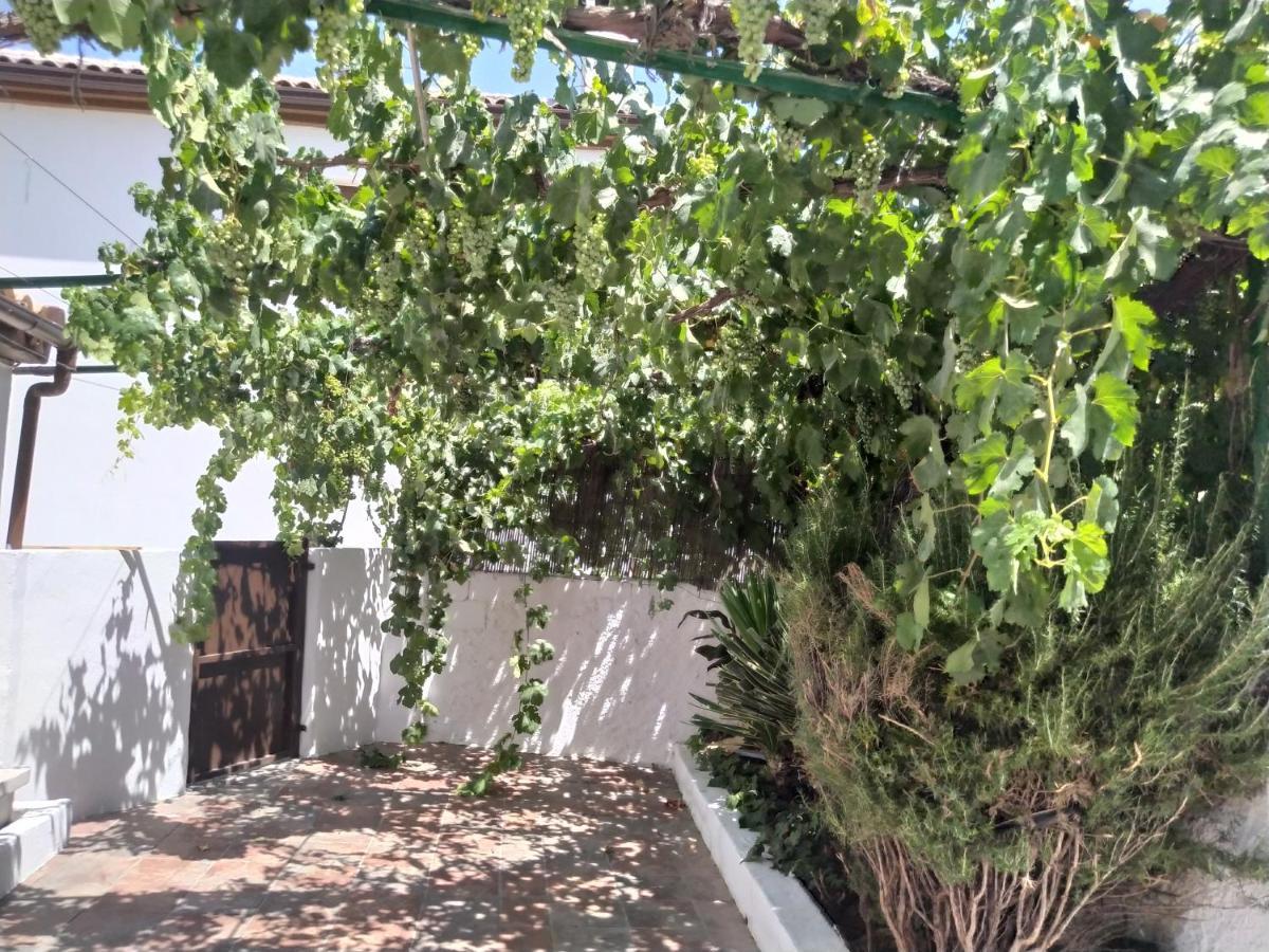 La Casa Del Ingles Villa Montefrio Exterior photo